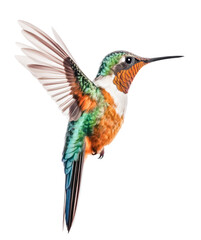 colorful hummingbird with orange and teal feathers in flight (2), isolated over a transparent background, cut-out exotic / tropical animal nature design element, generative AI - 600192778