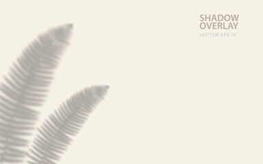 Obraz premium Aesthetic Silhouette Shadow Background of Tree Branch Natural Saber Fern Leaves Falling on Soft Peach Colored Wall. Transparent Blurred Shadow of Morning Sunlight.