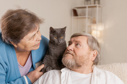 elderly people take care of cats and enjoy them at home