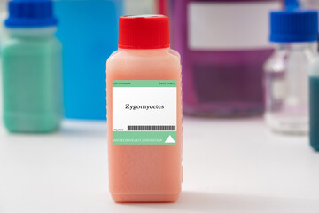 Zygomycetes