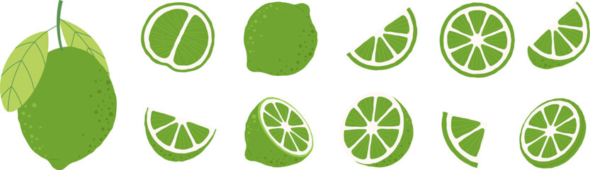 Green limes, sour lime isolated clipart. Cut and half citrus, mojito sliced ingredients. Vitamin fresh foog graphic, vector fruits elements