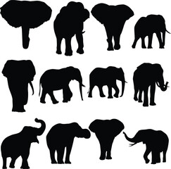 Set of elephants silhouettes