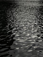 Obraz premium ripples on the water