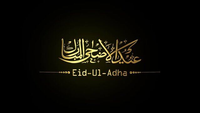 gold metallic Animated Arabic Calligraphy in Handwriting "EID ADHA MUBARAK",  with ALPHA Channel (Transparent Background), Translated as: "Blessed Sacrifice Feast". In 4K resolution 