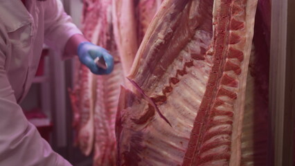 Industrial processing of meat. A man cook butcher cuts off the carcass of an animal in a butcher's shop with a knife. Production for restaurants - obrazy, fototapety, plakaty