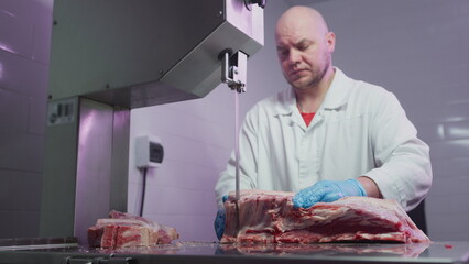 Industrial processing of meat. A man cook cuts a piece of tenderloin in a butcher's shop on a machine with a band saw. Ribeye or marbled beef.
