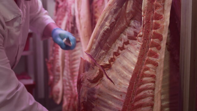 Industrial processing of meat. A man cook butcher cuts off the carcass of an animal in a butcher's shop with a knife. Production for restaurants