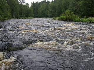 Bubbling water on the rapids of the Vidlitsa River. Republic of Karelia.