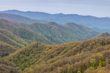 Fototapeta na wymiar Classic mountain shot in the state of Tennessee USA