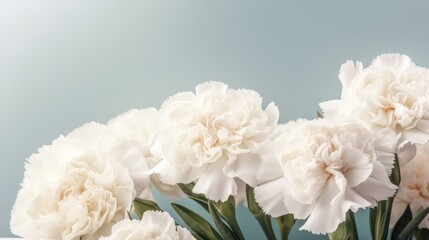 White carnations on a pale greenish blue background with copy space. Generative AI.