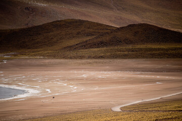 Two people walking in the Atacama desert with brown hills in the back drop.