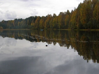 The Suna River with cloudy skies and autumn trees in the background. Girvas, Republic of Karelia.