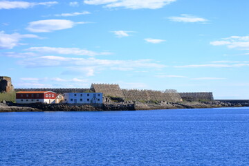Fototapeta premium Stockfish, or dried fish, dries in the air in Svolvaer in Norway