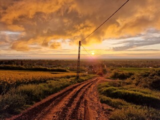 Country road with cloudy summer sunset
