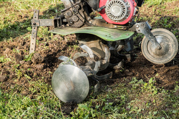 Machinery agricultural motor cultivator for soil cultivation in the garden in use