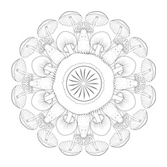 Interior coloring book page. Circular pattern in mandala form. Henna tatoo mandala. Mehndi style. Decorative pattern in oriental style.	