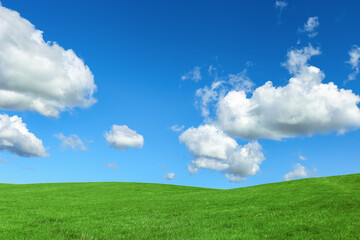 Green grass and blue sky with white fluffy clouds, beauty nature background. Perfect summer greenery field, hill, grassland. Nature environment landscape, lush green grass meadow, blue sky