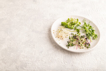 White ceramic plate with microgreen sprouts of green pea, sunflower, alfalfa, radish on gray. Side view.