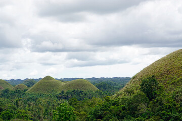 Obraz premium famous chocolate hills on bohol island on the philippines
