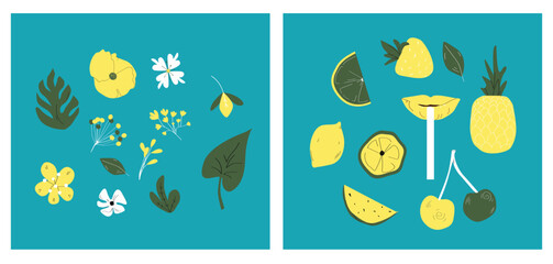A set of cute summer elements: flowers, leaves, fruits. Suitable for a summer poster, postcard, set of stickers. Hand drawn vector.
