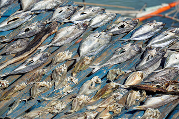 fresh fish from fisherman village on cebu island