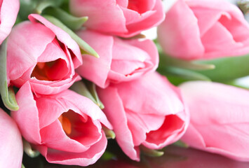 Naklejka premium Pink tulip