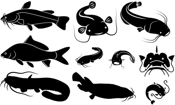 Set of catfish silhouette graphic catfish on white background vector