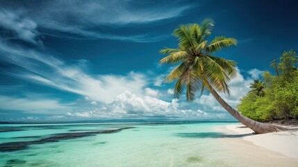 Fototapeta na wymiar Tropical beach with palm tree white sand and turquoise water, generative ai