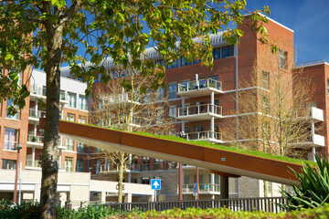Sloping green roof. Green sedum roof. Rooftop garden for urban greening. Sustainable robs for...