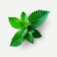 mint leaves on a light background. High quality  Generative AI