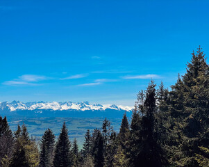Fototapeta na wymiar View of the Tatras from the mountain