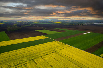 landscape with a field and sky
