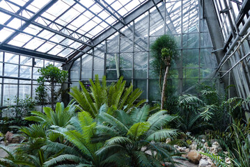  Botanical Garden, plants, green