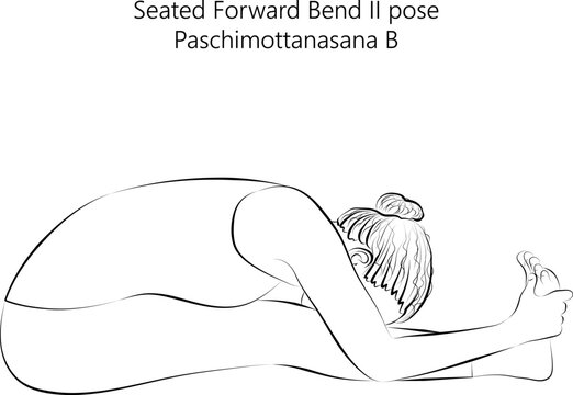 Premium Vector  Woman practicing seated forward bend pose  paschimattanasana back stretch pose