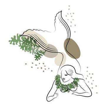 Mermaid silhouette. A beautiful girl swims in the water. Next to the leaves of the plant. Fantastic image of a fairy tale. Vector illustration.