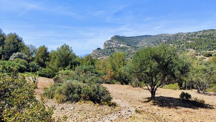 LA CIOTAT (Bouches-du-Rhône)