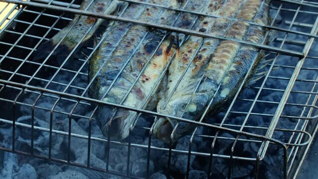 Sea bass or grouper fish grilled over charcoal. Close-up shot cooking seafish with aromatic spices on barbecue grill plate. Baking roasting marinated delicious seafood. BBQ  in summer garden outdoors