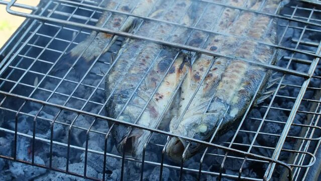 Sea bass or grouper fish grilled over charcoal. Close-up shot cooking seafish with aromatic spices on barbecue grill plate. Baking roasting marinated delicious seafood. BBQ  in summer garden outdoors