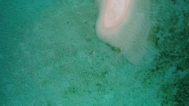 Aerial video of people floating in the sea on Snake Island on white sand 