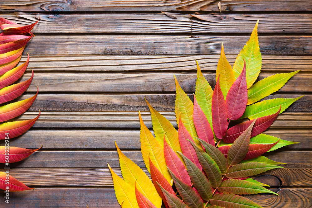 Sticker Universal neutral Autumn background. Branch with red leaves on a wooden brown background	