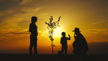 happy family planting tree soil watering with watering can outdoor. silhouette happy family...