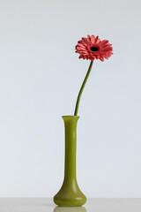 pink gerbera daisy flower in a vase illustrating the concept of uniqueness