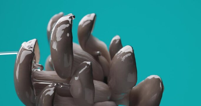 vertical video of raw pleurotus mushrooms with water pouring in front of blue background illustrating the concept of vegan