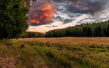 Fototapeta na wymiar Colorful clouds above meadow and forest edge landscape. End of summer season.