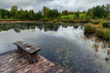 Landscape with overgrown pond, small pier with old dirty bench. Gloomy day..