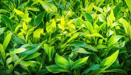 Green leaves background, generative ai