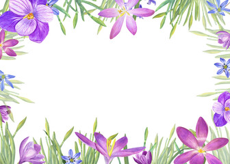 Watercolor horizontal frame with crocuses, scillas, daffodils, hyacinths isolated on transparent. Illustration for the design of Valentines day, birthday, wedding postcards, invitations