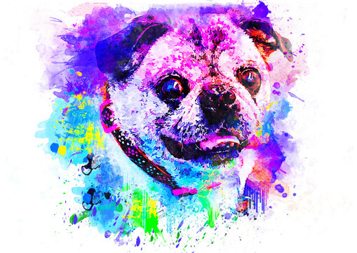 watercolor pug dog, Pug Lover, Pug art Enthusiasts