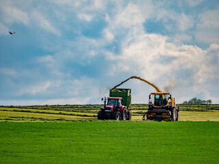Erntemaschienen sammeln Gras auf einer frisch gemähten Wiese © focus finder