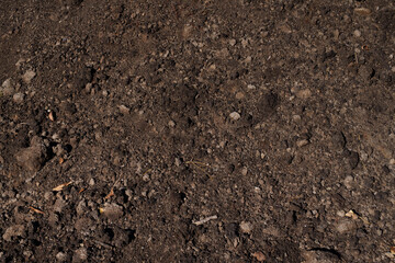 Soil texture close-up